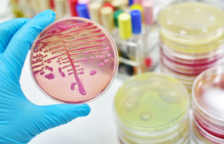 Tratamento de Sépsis provocada por Bactérias Gram negativas