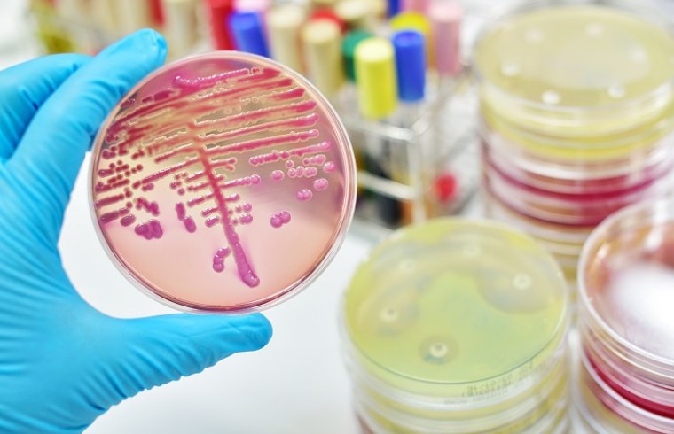 Tratamiento de sepsis provocada por bacterias Gram negativas